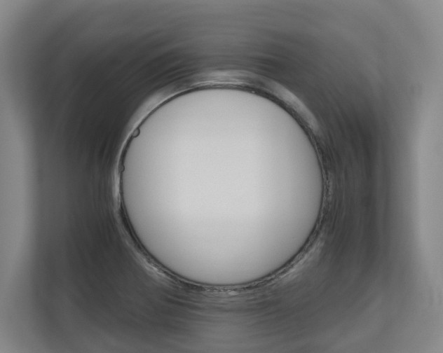 X0000110931370200906181147