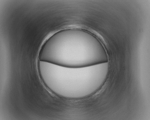 X0000110931373200906181147