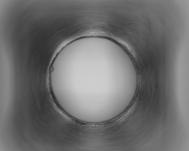 X0000110931374200906181147