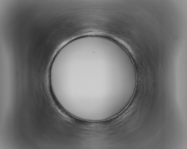 X0000110931375200906181147