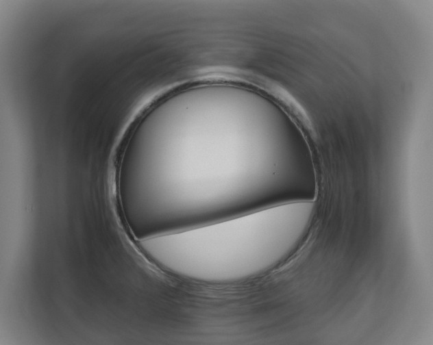 X0000110931376200906181147