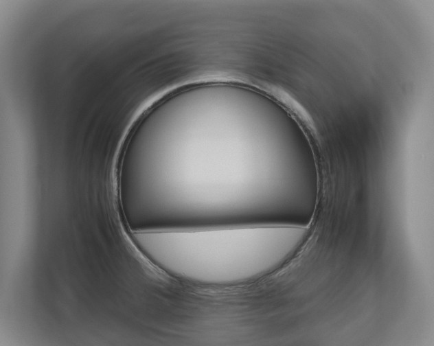X0000110931380200906181147