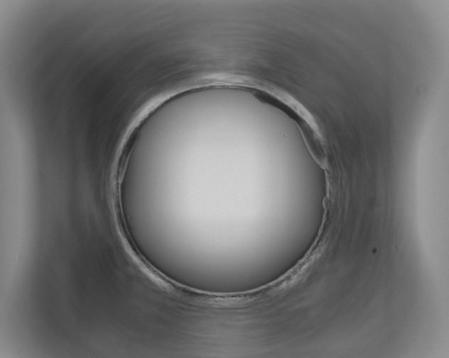 X0000110931381200906181147