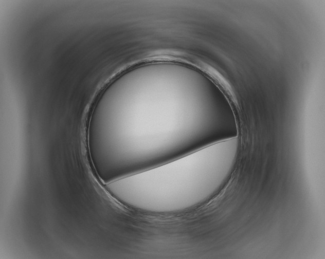 X0000110931384200906181147