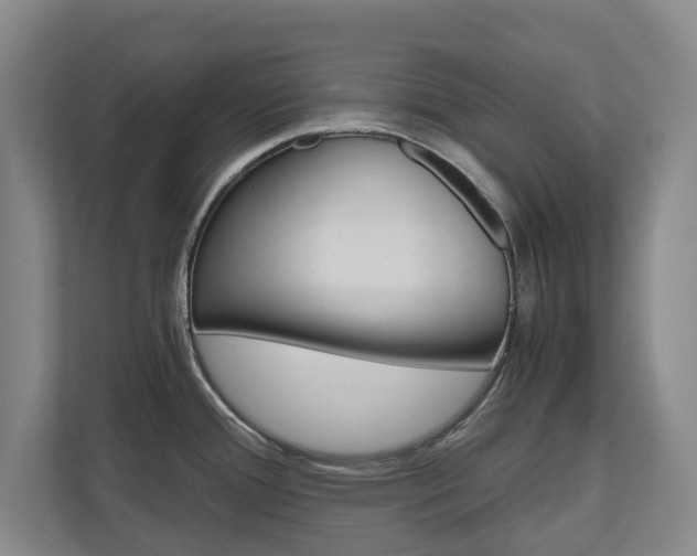 X0000110931388200906181147