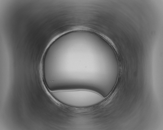 X0000110931391200906181147
