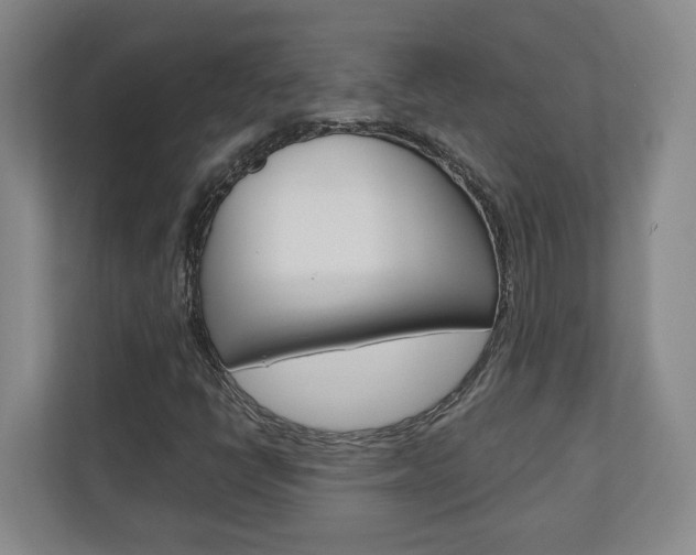 X0000110931398200906181146