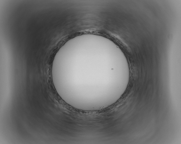 X0000110931399200906181146