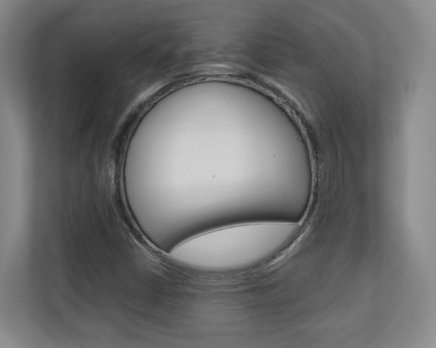 X0000110931402200906181146