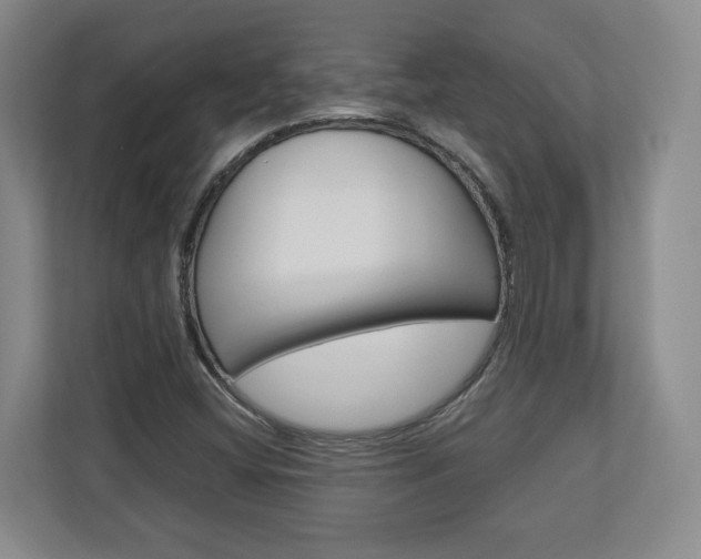 X0000110931404200906181146