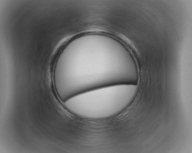 X0000110931408200906181146