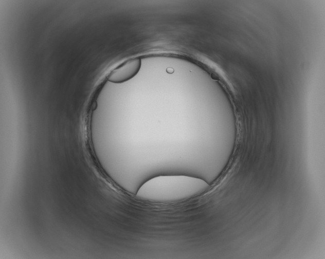 X0000110931415200906181147