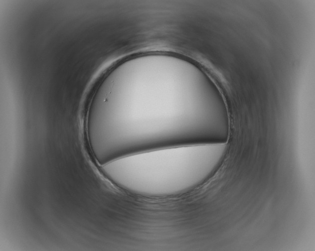 X0000110931416200906181147