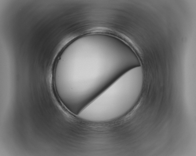 X0000110931418200906181147