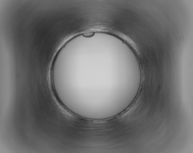 X0000110931423200906181147