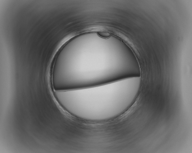 X0000110931426200906181147