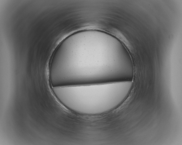 X0000110931428200906181147