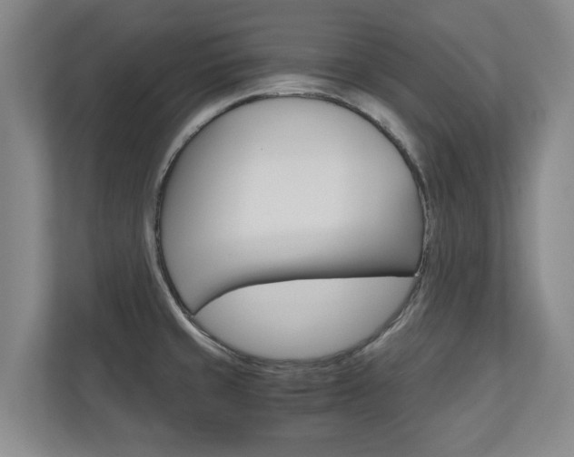 X0000110931429200906181147