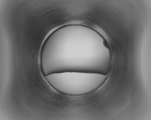 X0000110931436200906181147
