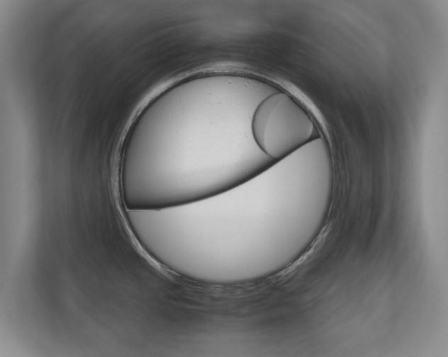 X0000110931437200906181147