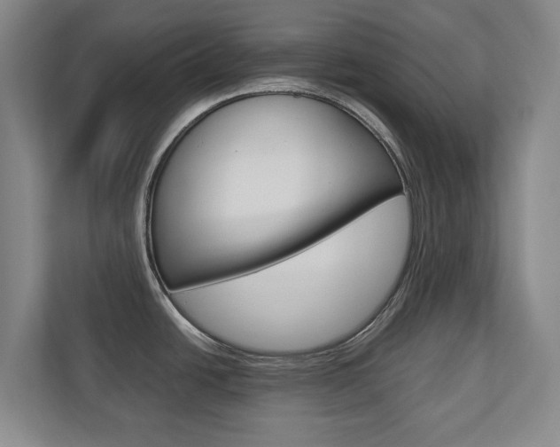 X0000110931438200906181147