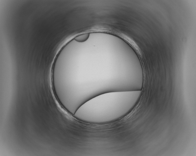 X0000110931439200906181147