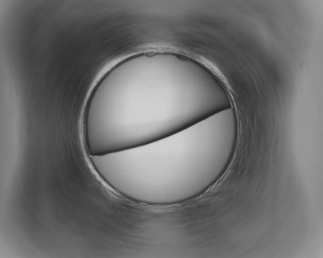 X0000110931440200906181147