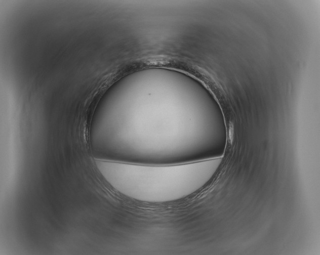 X0000110931444200906181146