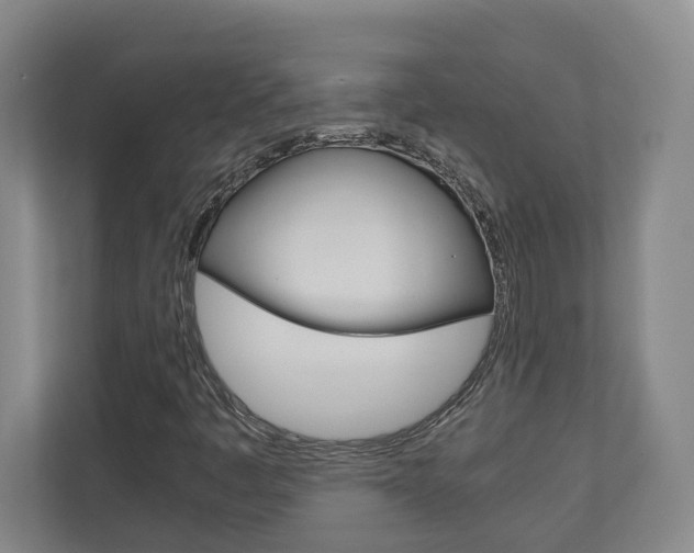 X0000110931445200906181146