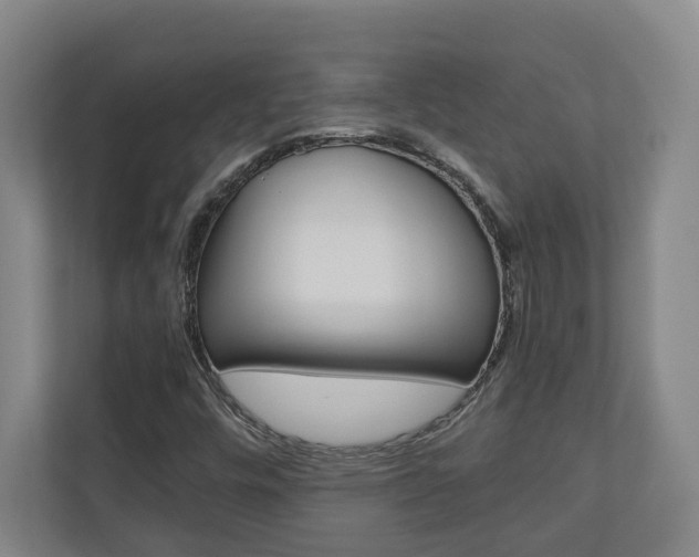 X0000110931448200906181146