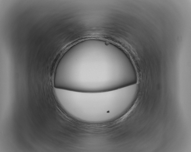 X0000110931449200906181146