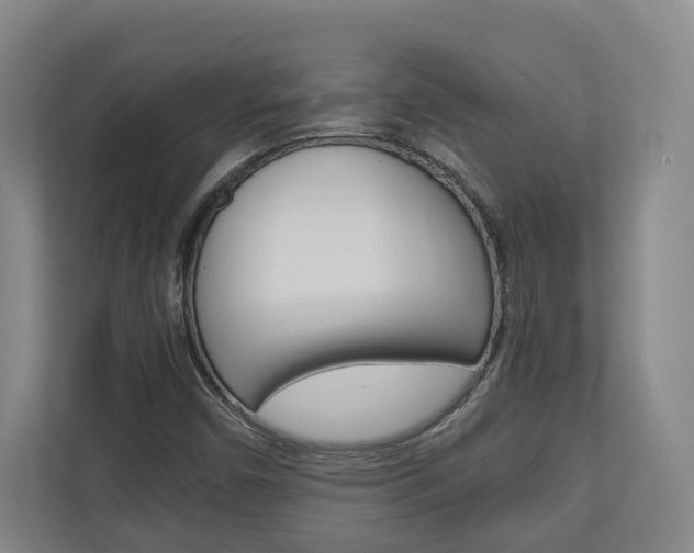 X0000110931450200906181146