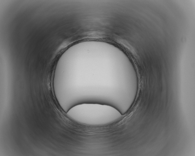 X0000110931451200906181146