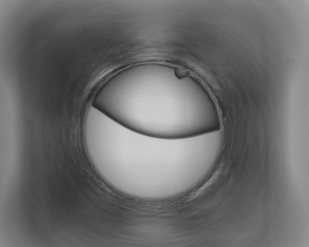 X0000110931453200906181146