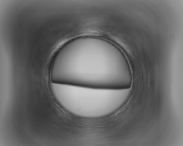 X0000110931455200906181146