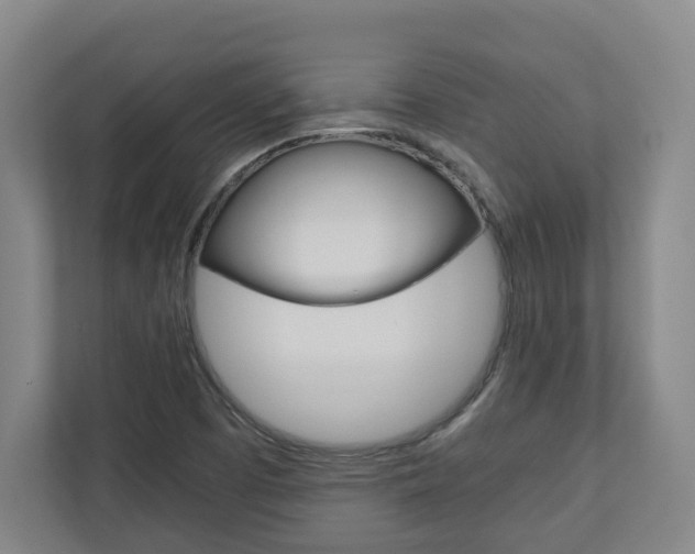 X0000110931457200906181146