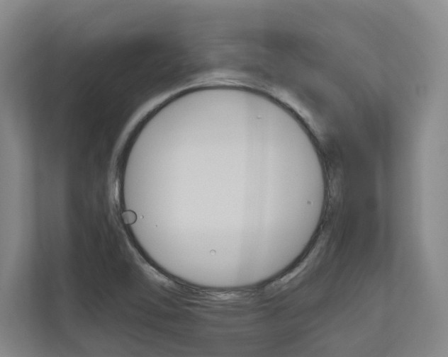 X0000110931462200906181146