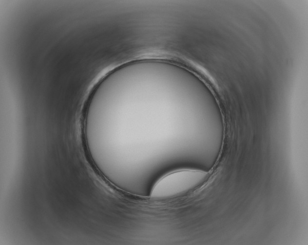 X0000110931463200906181146