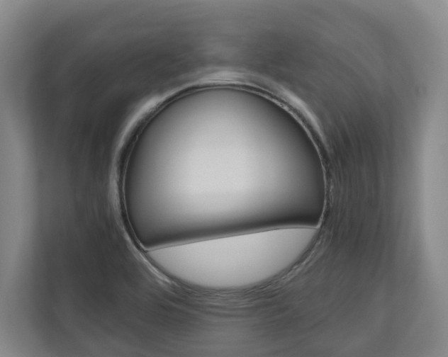 X0000110931464200906181146