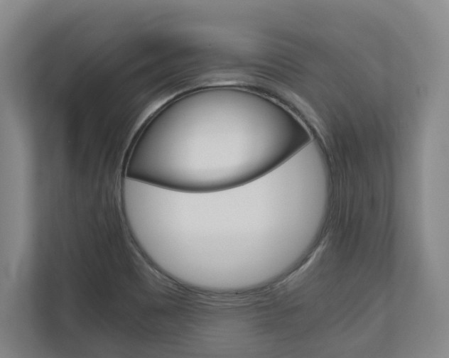 X0000110931465200906181146