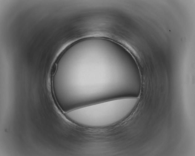 X0000110931468200906181146