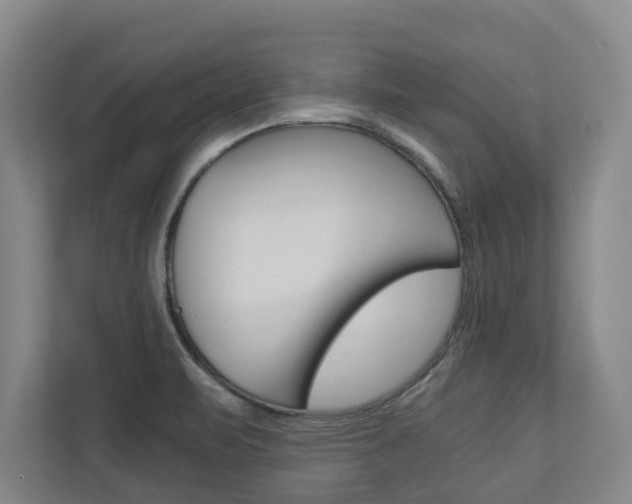 X0000110931471200906181146