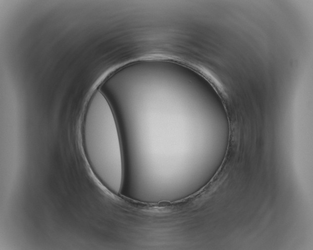 X0000110931476200906181146