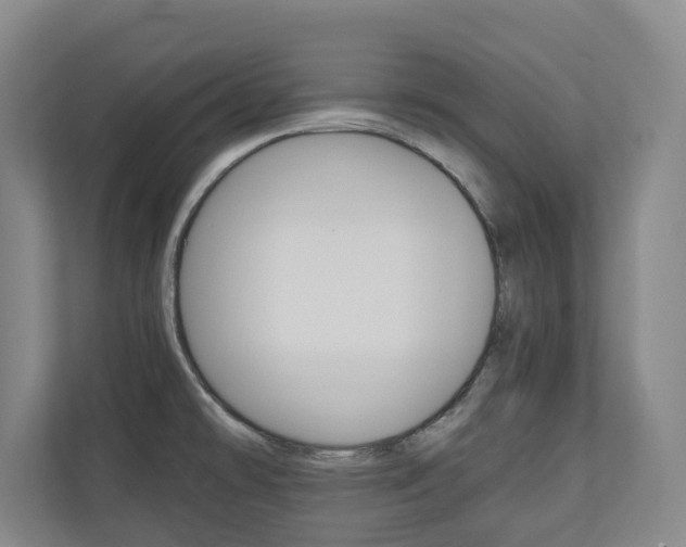 X0000110931478200906181146