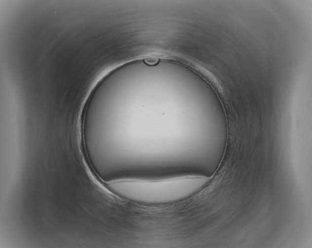 X0000110931479200906181146