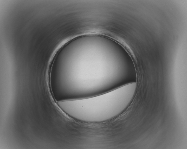 X0000110931480200906181146