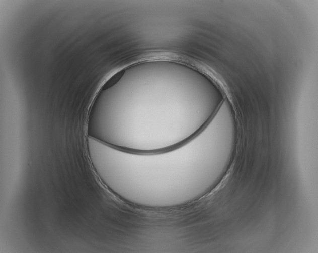 X0000110931481200906181146