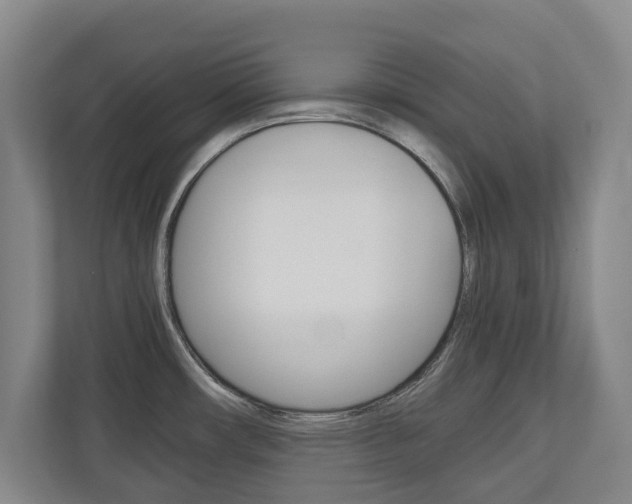 X0000110931482200906181146