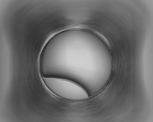 X0000110931483200906181146
