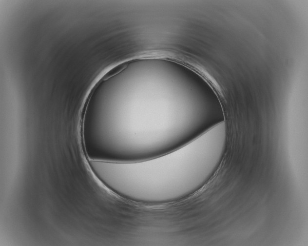 X0000110931484200906181146